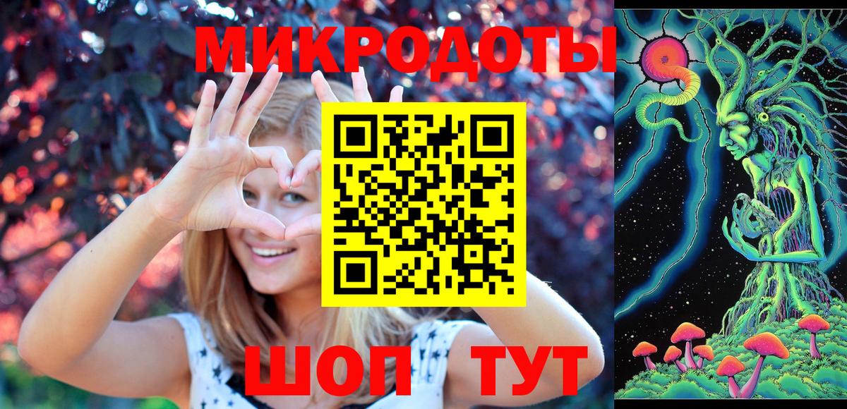 Псилоцибиновые грибы Cubensis Щёкино